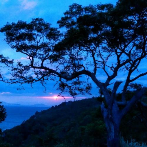 DAYSPRING.日光春和 | 去趣 chicTrip