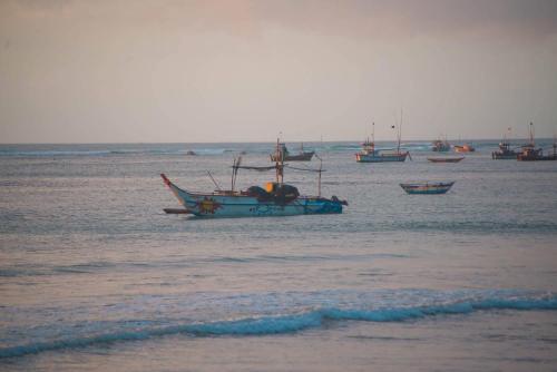 Single Fin Weligama