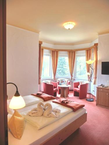 Hotel-Garni Drachenburg Room Type - Comfort Double Room