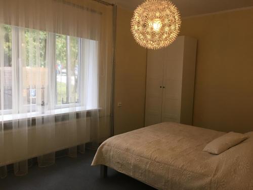 Liivalaia Apartment, Tallinn (photo 7)