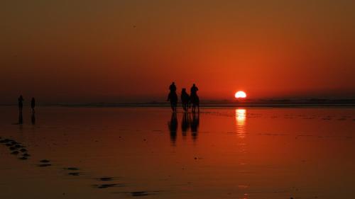 GOLVEN Surf – Taghazout, CO