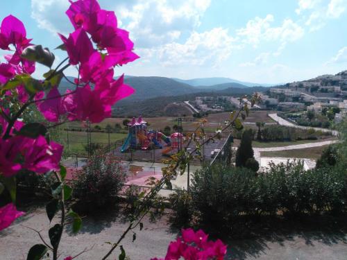 Super Lake and Mountain View in Bodrum, V18
