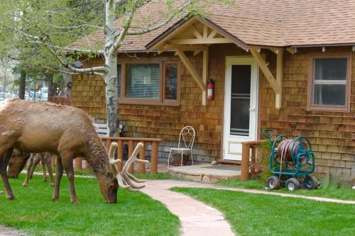 Misty Mountain Lodge Estes Park (CO)