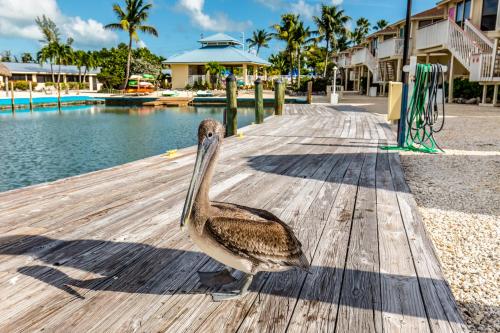 The Reef at Marathon by Capital Vacations in Marathon, USA