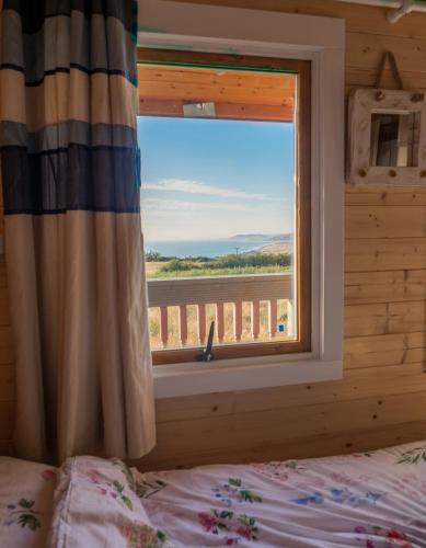 Enlli Fach cabin sleep's 2 adults and 2 children 2 dogs welcome not suitable for contract workers due to parking height restrictions 5