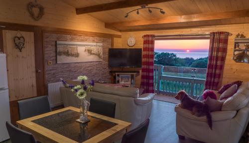 Enlli Fach cabin sleep's 2 adults and 2 children 2 dogs welcome not suitable for contract workers du in Harlech