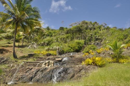 Vaatamisväärsus lähikonnas, Recanto dos Dendês Chalés (Recanto dos Dendes Chales) in Uruçuca