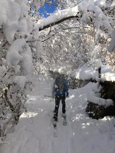 Bellavista Giulia on Lake Como - image 2