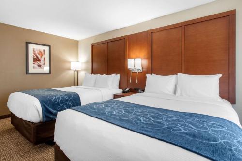 Comfort Inn & Suites Pinetop Show Low - image 8