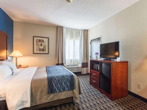 Comfort Inn Decatur Priceville