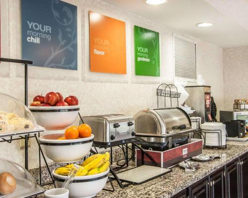 Quality Inn Edmund Pettus Bridge Area - image 2