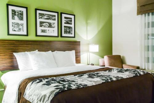 Sleep Inn & Suites Marion - Military Institute - image 8