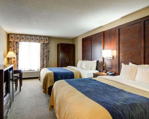 Comfort Inn & Suites Conway - image 8