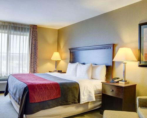 Comfort Inn Suites Russellville I 40 In Ar