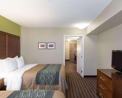 Comfort Inn & Suites Fayetteville-University Area