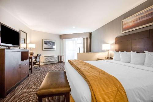 Quality Inn & Suites Hermosa Beach - main image