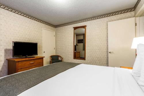 Quality Inn & Suites Santa Clara - image 13