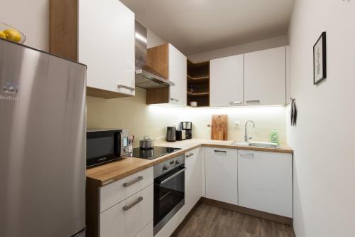 Felix apartment Tour As Ljubljana, Lublaň (fotografie 5)