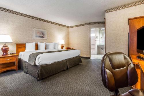 King Room - Disability Access/Non-Smoking