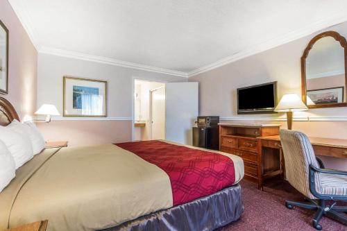 Econo Lodge Castro Valley I-580 - image 6