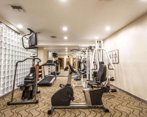 Comfort Inn Suites Oakland In Ca