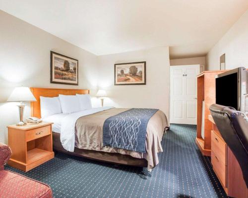 Comfort Inn & Suites Salinas