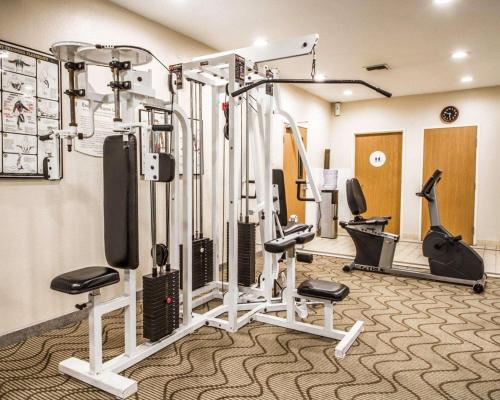 Comfort Inn Suites Oakland In Ca