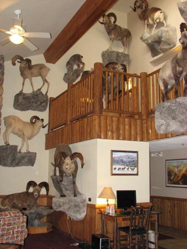 Vestíbulo, AmericInn by Wyndham Cody in Cody