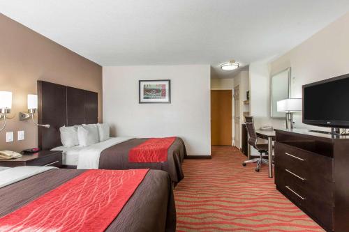 Comfort Inn Los Angeles near Hollywood - image 7