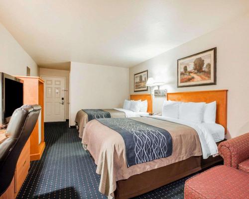 Comfort Inn & Suites Salinas