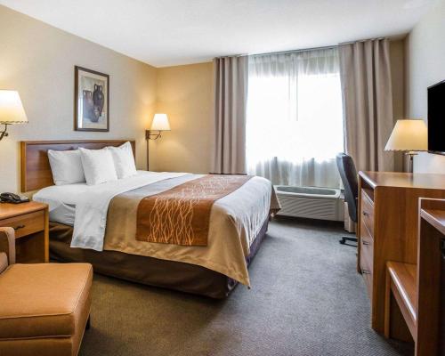 Quality Inn Lone Pine near Mount Whitney Room Type - King Room - Non-Smoking