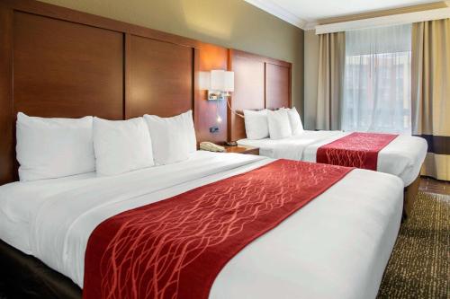Comfort Inn Suites San Francisco Airport North In Ca