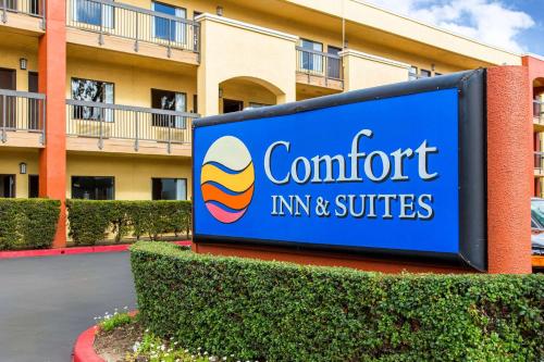 Comfort Inn & Suites San Francisco Airport North