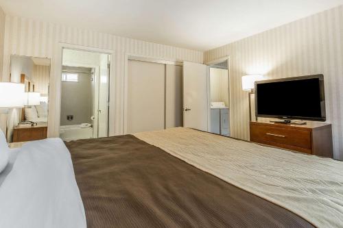 クオリティ イン