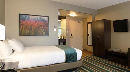 Signature Queen Room with Sofa image 3