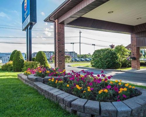 Foto - Comfort Inn Fredericton