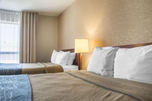 Foto - Comfort Inn London - Ontario