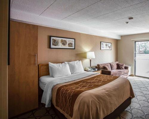 Comfort Inn Ottawa East In Ottawa From 7 154 Trabber Hotels
