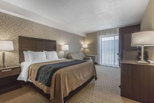 Comfort Inn Levis