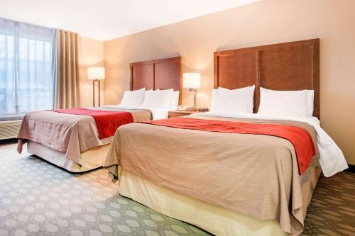 Comfort Inn Fallsview Room Type - Room with Two Double Beds