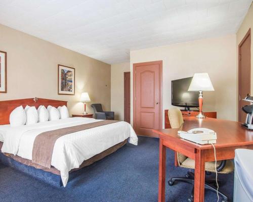 Standard King Room