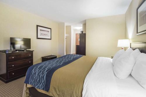 Comfort Inn & Suites Edson