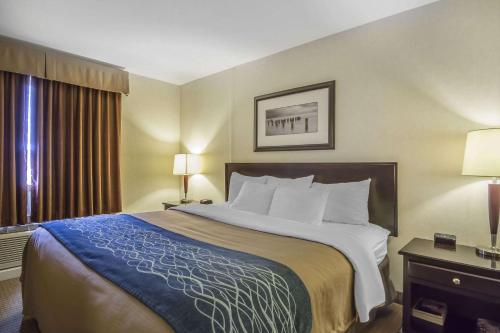 Comfort Inn & Suites Edson