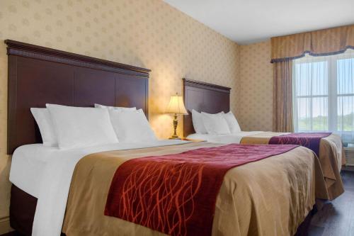 Comfort Inn & Suites Levis / Rive Sud Quebec city