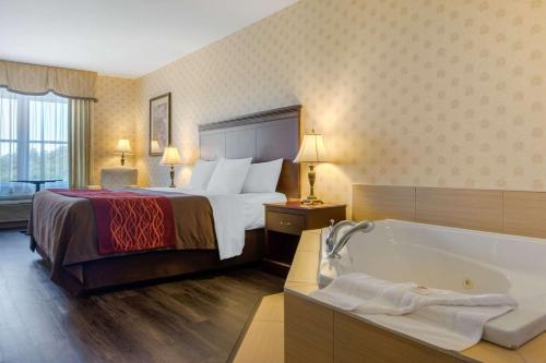 Comfort Inn & Suites Levis / Rive Sud Quebec city