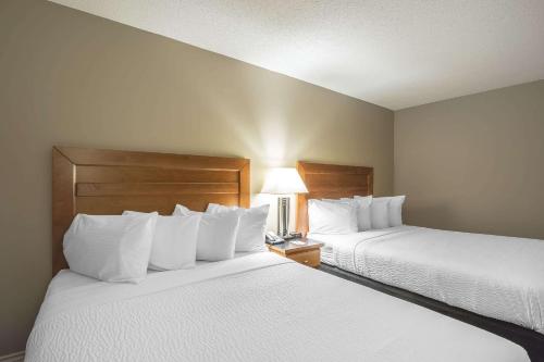 Queen Room with Two Queen Beds - Non Smoking image 5