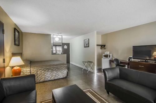 Queen Suite
