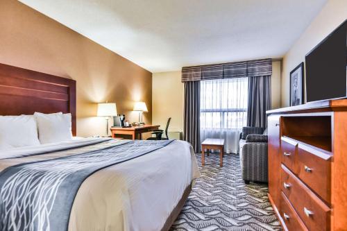 Comfort Inn & Suites Ambassador Bridge