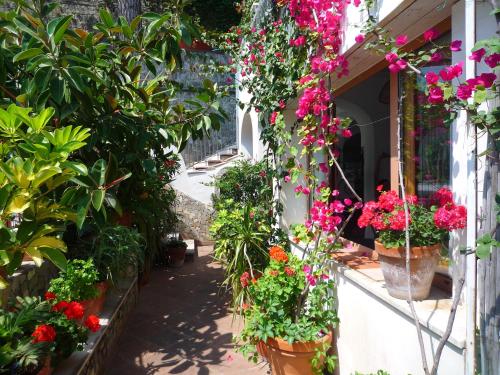 Villaverde, Positano (fotografie 5)