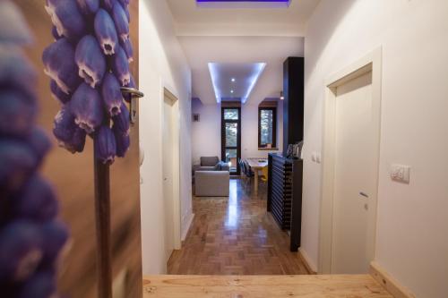 Vila Plamenac - image 5